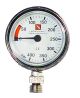 48mm 400 Bar Pressure Gauge Capsule - HS CODE - 	9026208000  C.O.O. - 	EU