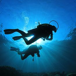 PRICE ADJUSTMENTS ON LATEX SEALS