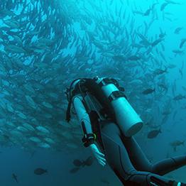 New owners for Beaver Sports